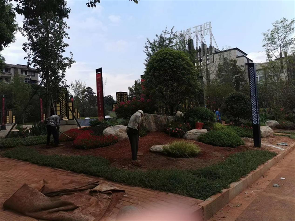悦天城北绿化施工案例